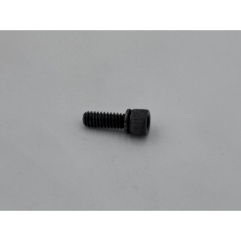 SCREW 